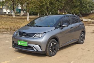 比亚迪 海豚 2021款 405km 时尚版