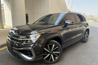 大众 途岳 2023款 300TSI 两驱皎月版