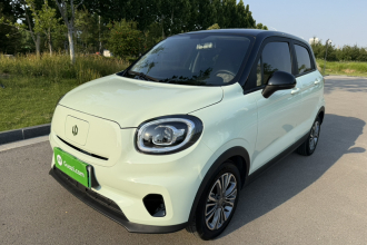 零跑汽车 零跑T03 2024款 310舒享版