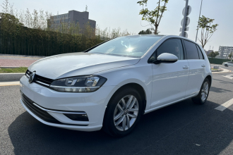 大众 高尔夫 2018款 230TSI 自动舒适型