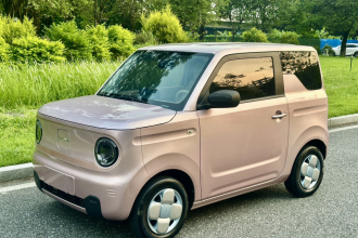 吉利银河 2023款 熊猫mini 200km 耐力熊