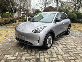 吉利银河 星愿 2026款 310km 梦想版