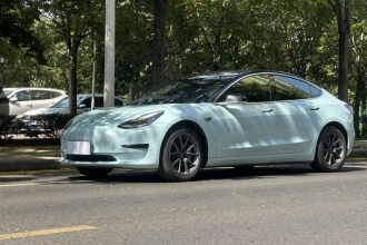 特斯拉 Model 3 2020款 标准续航后驱升级版