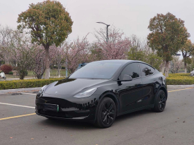 特斯拉 Model Y 2023款 长续航全轮驱动版