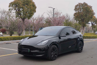 特斯拉 Model Y 2023款 长续航全轮驱动版
