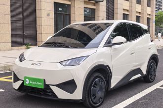 比亚迪 海鸥 2025款 智驾版 305km 活力版