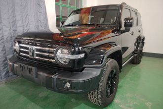 坦克300 2021款 城市版 2.0T 必须型