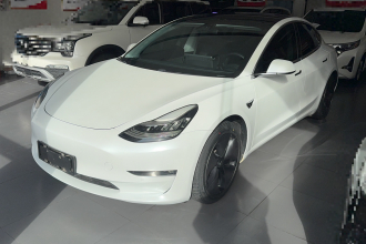 特斯拉 Model 3(进口) 2019款 长续航全轮驱动版