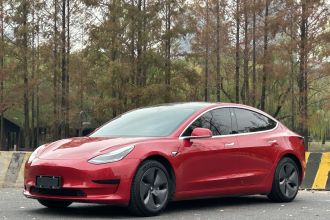 特斯拉 Model 3 2020款 标准续航后驱升级版