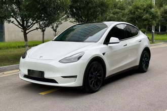 特斯拉 Model Y 2021款 长续航全轮驱动版 3D7