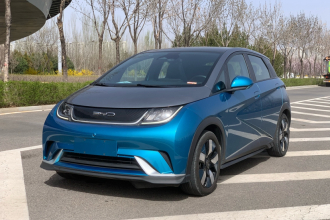 比亚迪 海豚 2021款 401km 骑士版