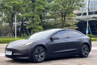 特斯拉 Model 3 2020款 改款 标准续航后驱升级版