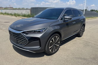 比亚迪 唐新能源 2022款 DM-p 215KM 四驱尊享型