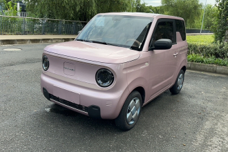 吉利银河 2023款 熊猫mini 200km 耐力熊