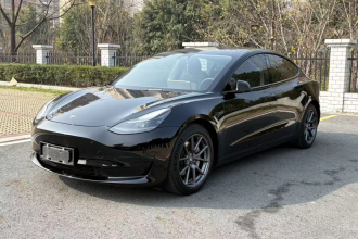 特斯拉 Model 3 2021款 标准续航后驱升级版 3D6