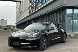 特斯拉 Model 3 2022款 后轮驱动版