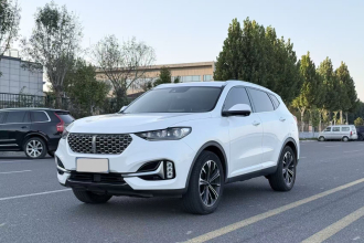 魏牌 VV6 2021款 2.0T 两驱智护+