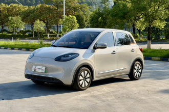 五菱汽车 五菱缤果 2024款 333km 悦享款