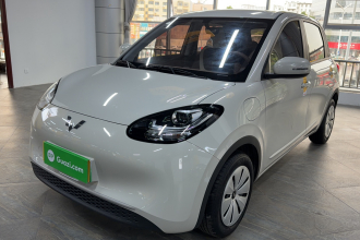 五菱汽车 五菱缤果 2025款 203km 轻享款