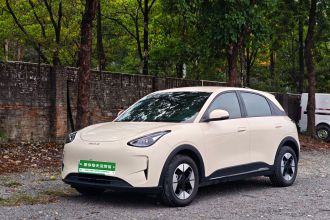 吉利银河 星愿 2025款 310km 梦想版