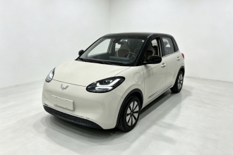五菱汽车 五菱缤果 2023款 333km 悦享+款