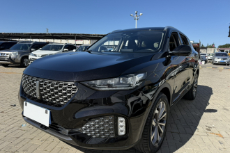 魏牌 VV6 2020款 2.0T 两驱智护+