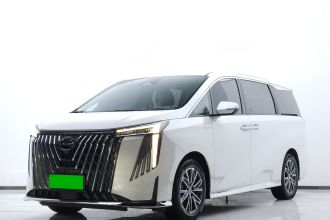 广汽传祺 传祺M8 2024款 大师系列 400T 至尊版