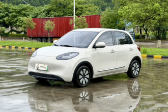 五菱汽车 五菱缤果 2024款 333km 悦享款