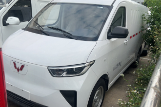 五菱汽车 五菱扬光 2025款 310KM 封窗版宁德时代定制版