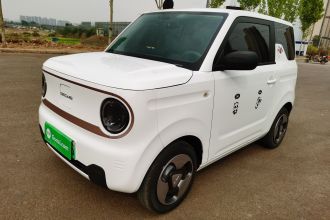 吉利银河 2023款 熊猫mini 200km 灵动熊