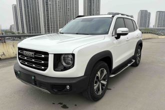 哈弗大狗 2021款 1.5T DCT两驱拉布拉多版