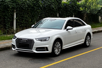 奥迪A4L 2019款 40 TFSI 进取型 国VI