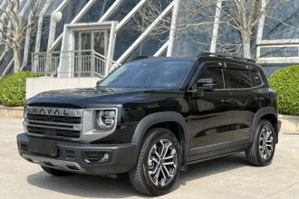 哈弗大狗 2024款 1.5T DCT边牧版