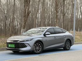 比亚迪 秦L 2024款 DM-i 80KM领先型