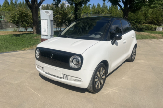 欧拉黑猫 2021款 351km 标准型