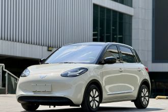 五菱汽车 五菱缤果 2023款 333km 悦享+款