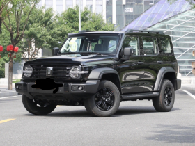 坦克300 2024款 2.0T 征服者