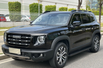 哈弗大狗 2021款 1.5T DCT两驱边牧版