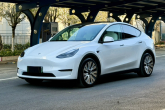 特斯拉 Model Y 2021款 长续航全轮驱动版