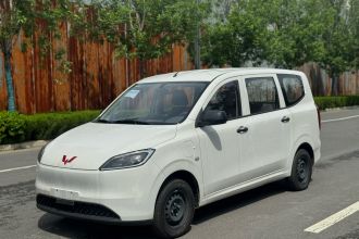 五菱汽车 五菱宏光新能源 2024款 纯电版 300KM 标准型