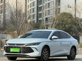 比亚迪 秦L 2024款 DM-i 120KM超越型