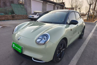 欧拉好猫 2024款 401km 尊荣型 126kW