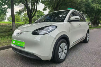五菱汽车 五菱缤果 2023款 203km 轻享款