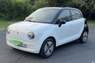 欧拉黑猫 2021款 301km 基础型