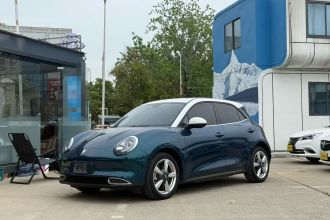 欧拉好猫 2021款 400km标准续航 维纳斯版 磷酸铁锂