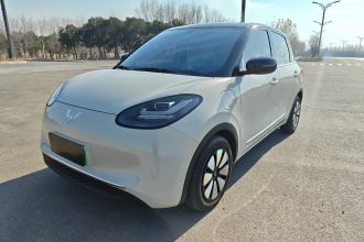 五菱汽车 五菱缤果 2024款 333km 悦享款