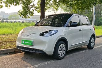 五菱汽车 五菱缤果 2024款 203km 轻享款