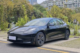 特斯拉 Model 3 2022款 后轮驱动版