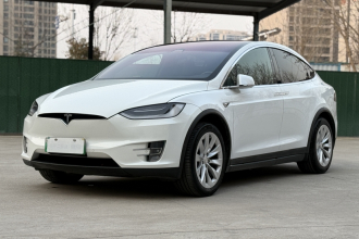 特斯拉 Model X 2019款 长续航版