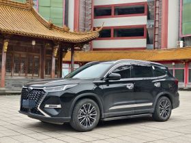 奇瑞 瑞虎8 PRO 2025款 290T 两驱尊贵版